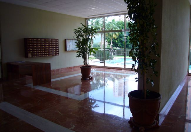 Apartamento en Benidorm - PARAISO ESPERANTO (1 DORMITORIO) Apartamento en Benidorm - PARAISO ESPERANTO (1 DORMITORIO)