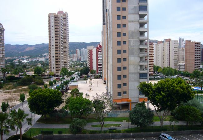Apartamento en Benidorm - PARAISO ESPERANTO (1 DORMITORIO) Apartamento en Benidorm - PARAISO ESPERANTO (1 DORMITORIO)
