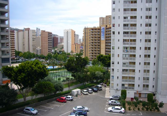 Apartamento en Benidorm - PARAISO ESPERANTO (1 DORMITORIO) Apartamento en Benidorm - PARAISO ESPERANTO (1 DORMITORIO)