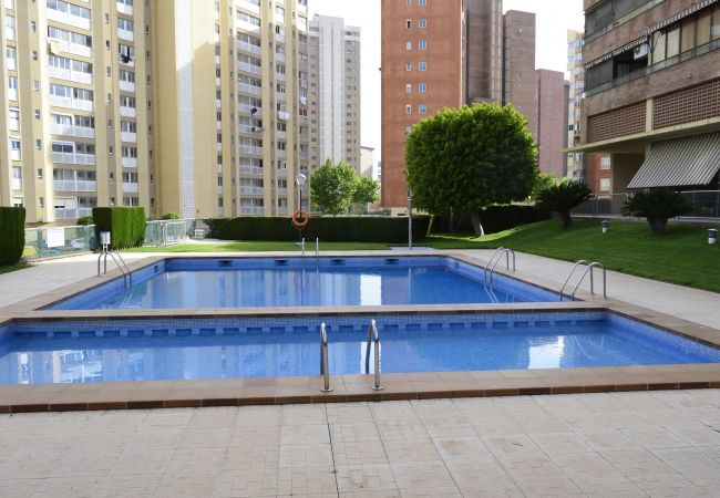 Apartamento en Benidorm - PARAISO ESPERANTO (1 DORMITORIO) Apartamento en Benidorm - PARAISO ESPERANTO (1 DORMITORIO)