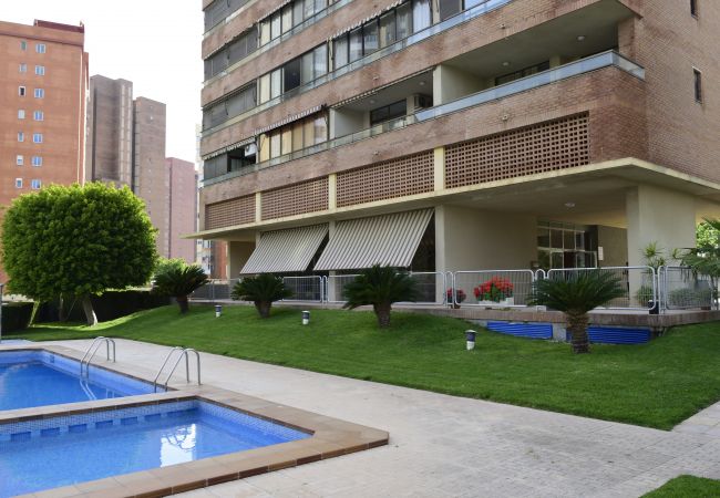 Apartamento en Benidorm - PARAISO ESPERANTO (1 DORMITORIO) Apartamento en Benidorm - PARAISO ESPERANTO (1 DORMITORIO)