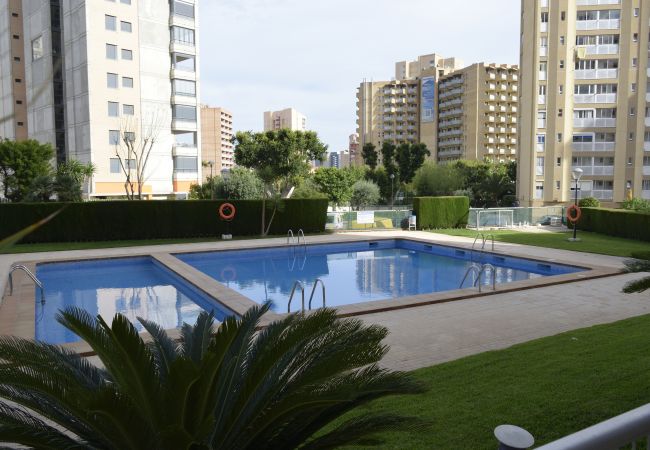 Apartamento en Benidorm - PARAISO ESPERANTO (1 DORMITORIO) Apartamento en Benidorm - PARAISO ESPERANTO (1 DORMITORIO)