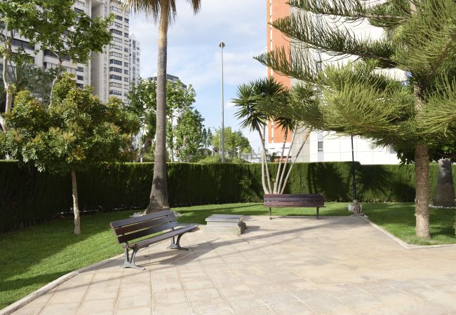 Apartamento en Benidorm - PARAISO ESPERANTO (1 DORMITORIO) Apartamento en Benidorm - PARAISO ESPERANTO (1 DORMITORIO)