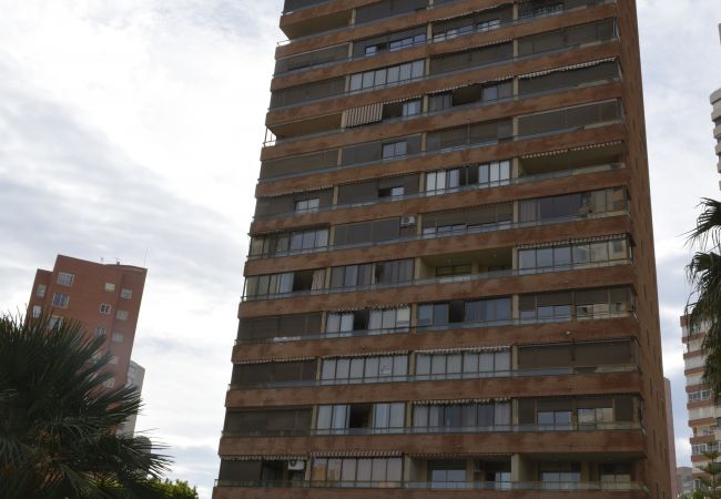 Apartamento en Benidorm - PARAISO ESPERANTO (1 DORMITORIO) Apartamento en Benidorm - PARAISO ESPERANTO (1 DORMITORIO)