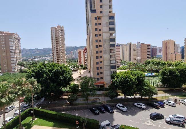 Apartamento en Benidorm - PARAISO ESPERANTO (1 DORMITORIO) Apartamento en Benidorm - PARAISO ESPERANTO (1 DORMITORIO)