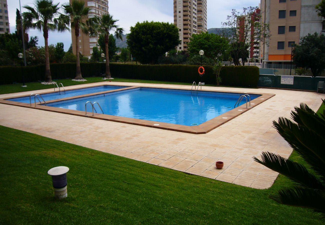 Apartamento en Benidorm - PARAISO ESPERANTO (1 DORMITORIO)