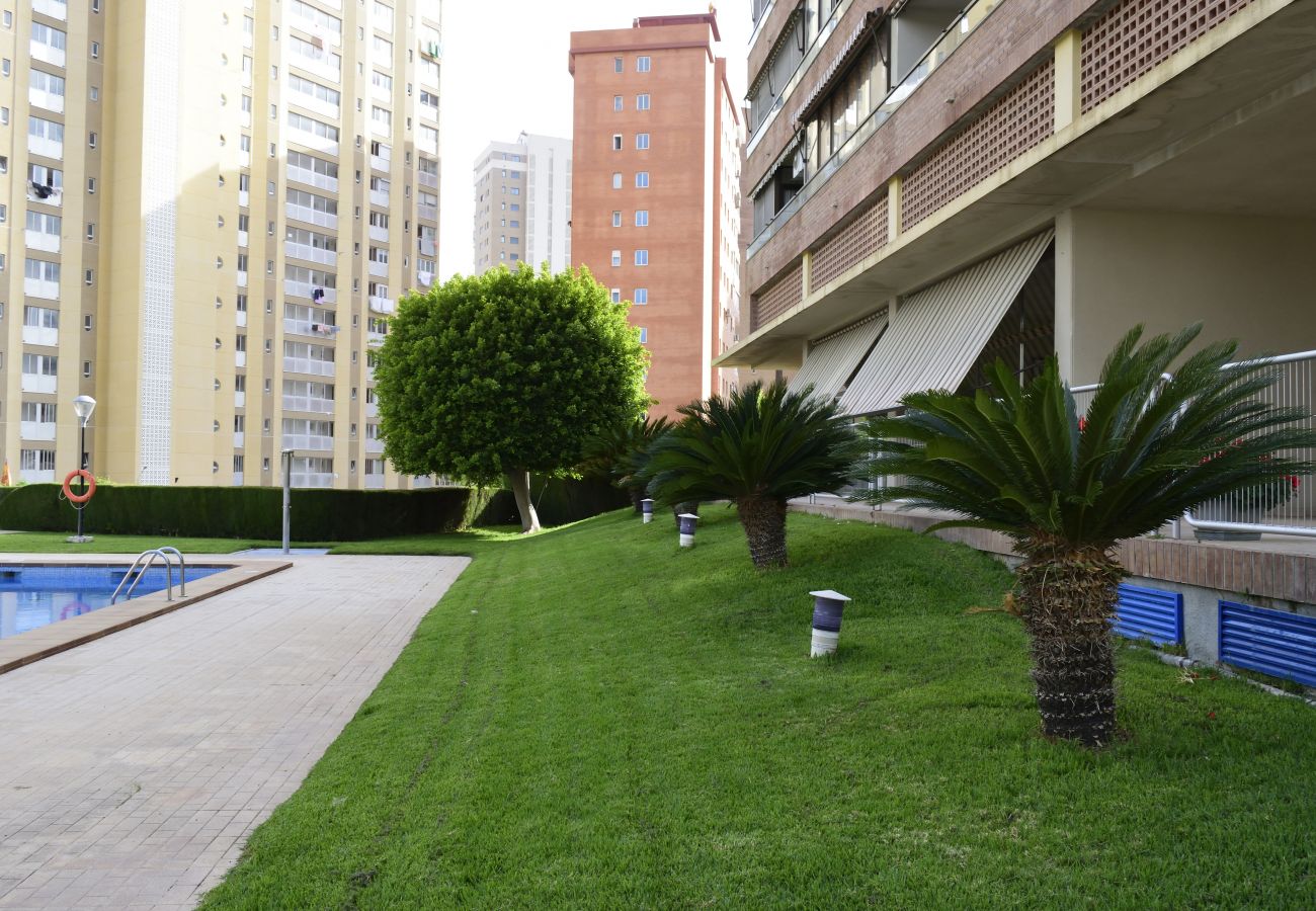 Apartamento en Benidorm - PARAISO ESPERANTO (1 DORMITORIO)