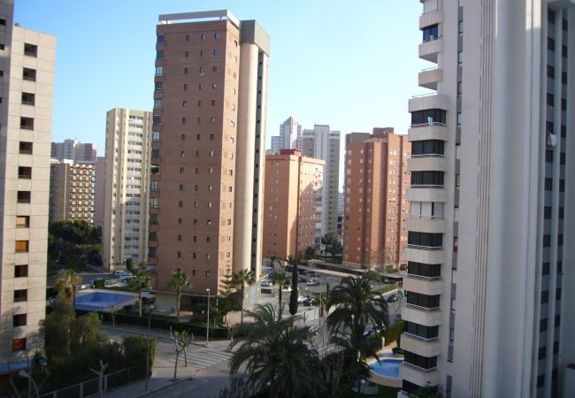 Apartamento en Benidorm - PARQUE EUROPA (1 DORMITORIO) Apartamento en Benidorm - PARQUE EUROPA (1 DORMITORIO)