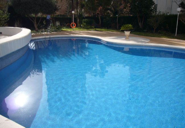 Apartamento en Benidorm - PARQUE EUROPA (1 DORMITORIO) Apartamento en Benidorm - PARQUE EUROPA (1 DORMITORIO)