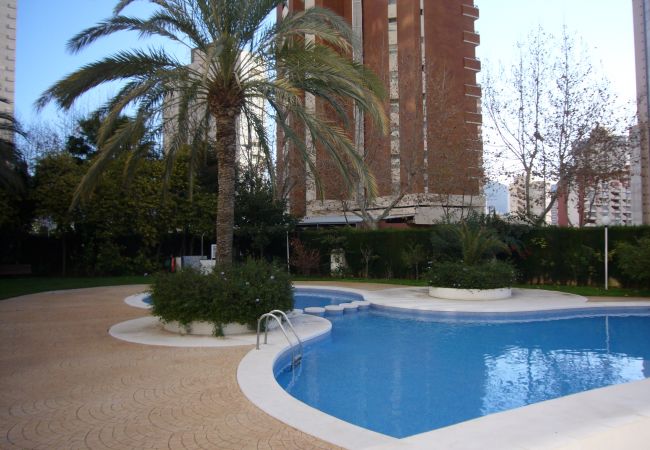 Apartamento en Benidorm - PARQUE EUROPA (1 DORMITORIO) Apartamento en Benidorm - PARQUE EUROPA (1 DORMITORIO)