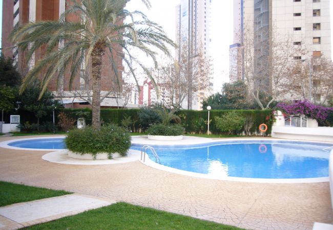 Apartamento en Benidorm - PARQUE EUROPA (1 DORMITORIO)