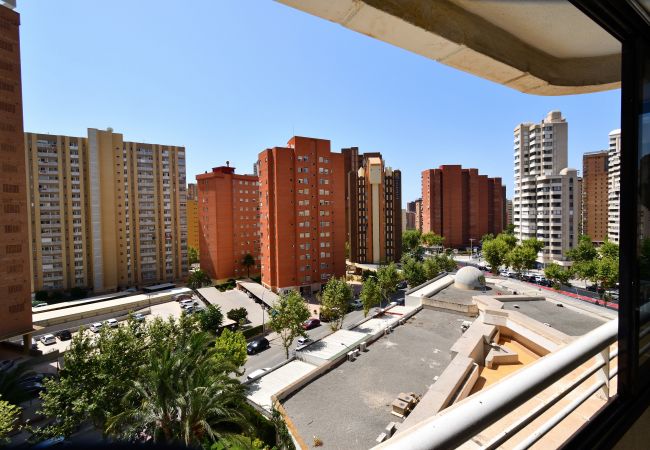 Apartamento en Benidorm - PARQUE EUROPA (1 DORMITORIO) Apartamento en Benidorm - PARQUE EUROPA (1 DORMITORIO)