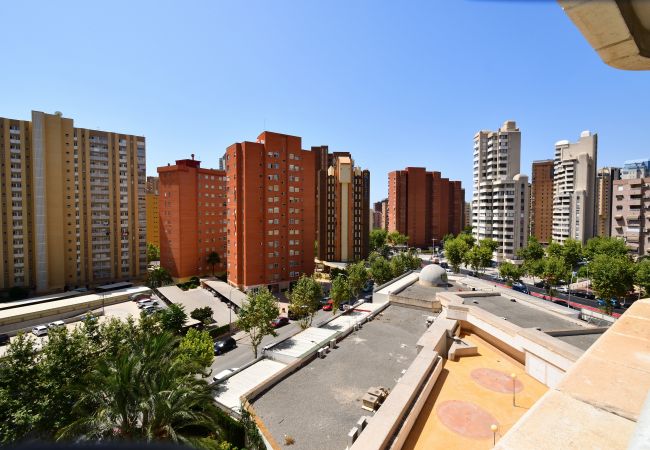 Apartamento en Benidorm - PARQUE EUROPA (1 DORMITORIO) Apartamento en Benidorm - PARQUE EUROPA (1 DORMITORIO)