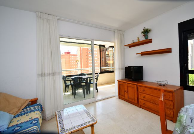 Apartamento en Benidorm - PARQUE EUROPA (1 DORMITORIO)