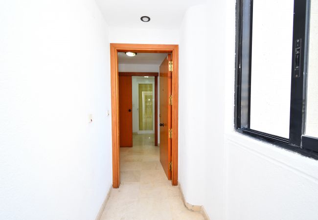 Apartamento en Benidorm - PARQUE EUROPA (1 DORMITORIO) Apartamento en Benidorm - PARQUE EUROPA (1 DORMITORIO)