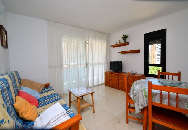 Apartamento en Benidorm - PARQUE EUROPA (1 DORMITORIO) Apartamento en Benidorm - PARQUE EUROPA (1 DORMITORIO)