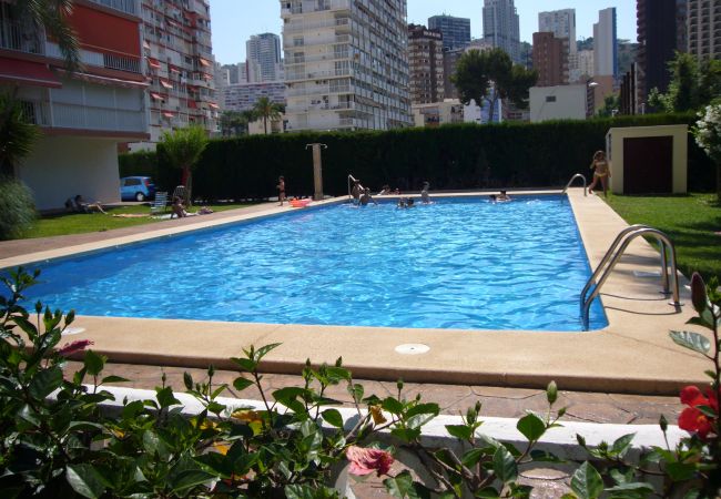 Apartamento en Benidorm - EDIMAR (3 DORMITORIOS) BENIDORM