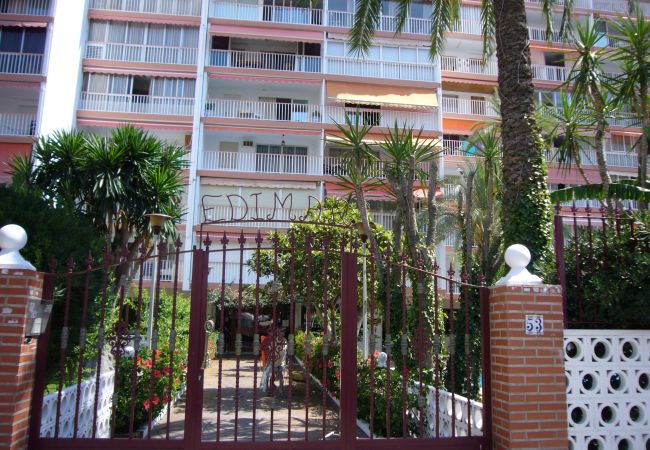 Apartamento en Benidorm - EDIMAR (3 DORMITORIOS) BENIDORM Apartamento en Benidorm - EDIMAR (3 DORMITORIOS) BENIDORM