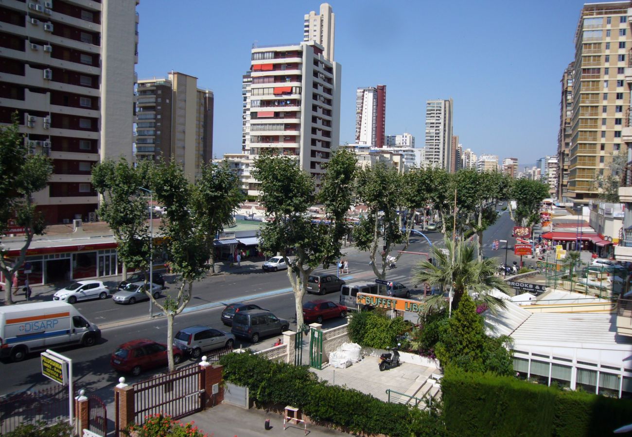 Apartamento en Benidorm - EDIMAR (3 DORMITORIOS) BENIDORM