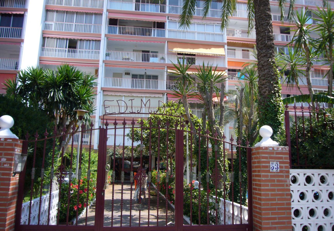 Apartamento en Benidorm - EDIMAR (3 DORMITORIOS) BENIDORM