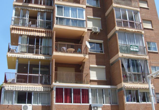 Apartamento en Benidorm - OCEAN 3 (2 DORMITORIOS) BENIDORM