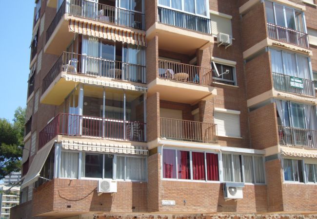 Apartamento en Benidorm - OCEAN 3 (2 DORMITORIOS) BENIDORM