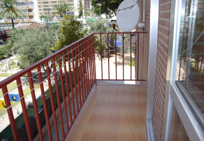 Apartamento en Benidorm - OCEAN 3 (2 DORMITORIOS) BENIDORM