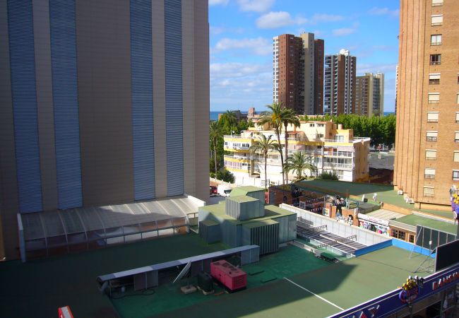 Apartamento en Benidorm - OCEAN 3 (2 DORMITORIOS) BENIDORM