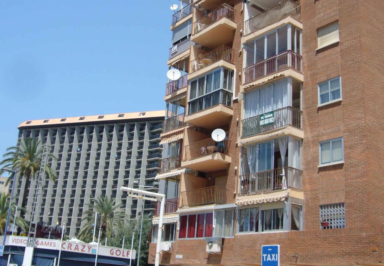 Apartamento en Benidorm - OCEAN 3 (2 DORMITORIOS) BENIDORM