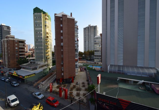 Apartamento en Benidorm - OCEAN 3 (1 DORMITORIO)