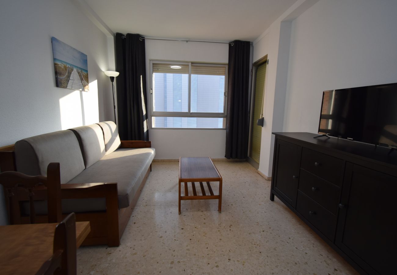 Apartamento en Benidorm - OCEAN 3 (1 DORMITORIO)