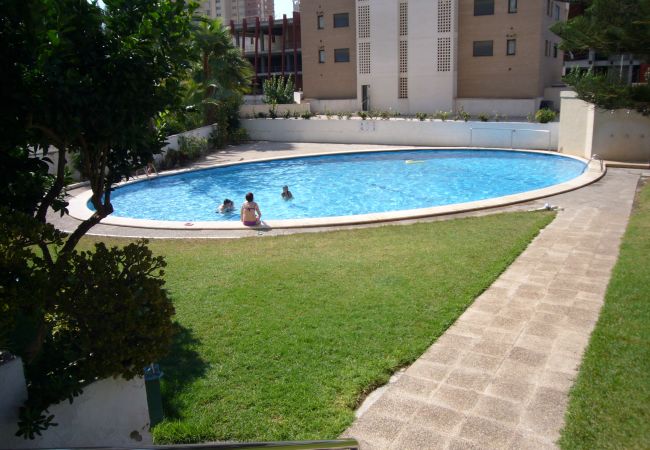 Apartamento en Benidorm - LA PINTA (1 DORMITORIO) BENIDORM