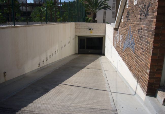 Apartamento en Benidorm - LA PINTA (1 DORMITORIO) BENIDORM Apartamento en Benidorm - LA PINTA (1 DORMITORIO) BENIDORM