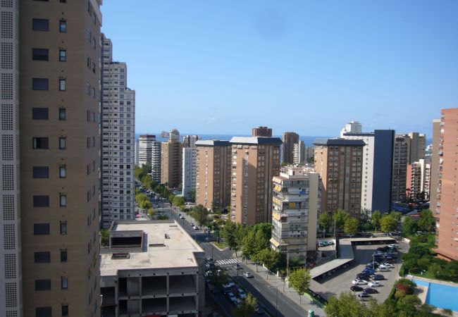 Apartamento en Benidorm - LA PINTA (1 DORMITORIO) BENIDORM