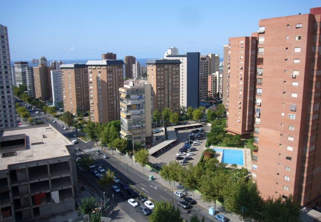 Apartamento en Benidorm - LA PINTA (1 DORMITORIO) BENIDORM Apartamento en Benidorm - LA PINTA (1 DORMITORIO) BENIDORM