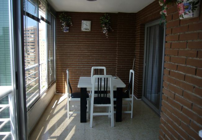Apartamento en Benidorm - LA PINTA (1 DORMITORIO) BENIDORM Apartamento en Benidorm - LA PINTA (1 DORMITORIO) BENIDORM