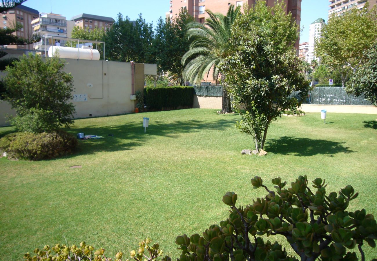 Apartamento en Benidorm - LA PINTA (1 DORMITORIO) BENIDORM