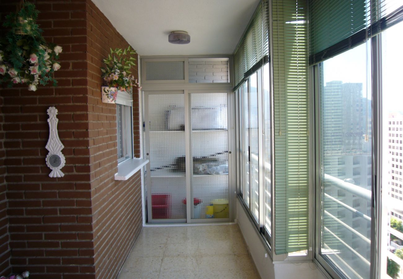 Apartamento en Benidorm - LA PINTA (1 DORMITORIO) BENIDORM