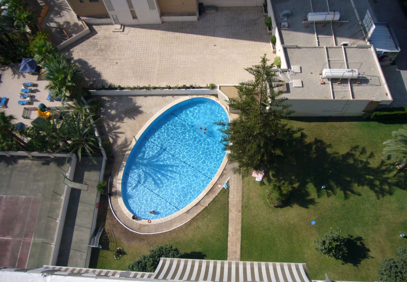 Apartamento en Benidorm - LA PINTA (1 DORMITORIO) BENIDORM