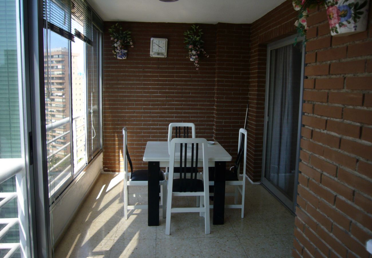 Apartamento en Benidorm - LA PINTA (1 DORMITORIO) BENIDORM