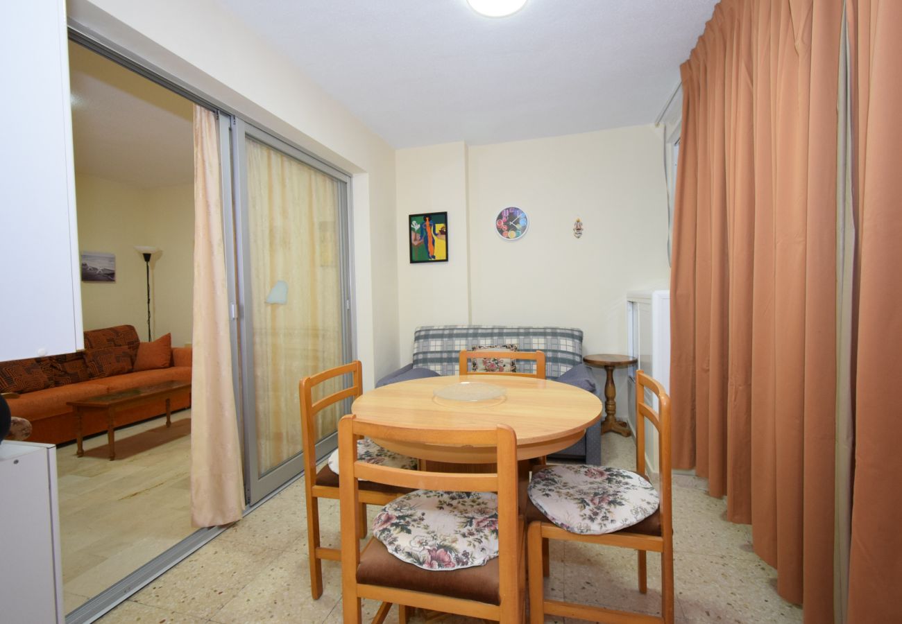 Apartamento en Benidorm - LA PINTA (1 DORMITORIO) BENIDORM