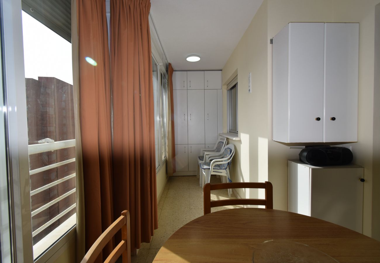 Apartamento en Benidorm - LA PINTA (1 DORMITORIO) BENIDORM