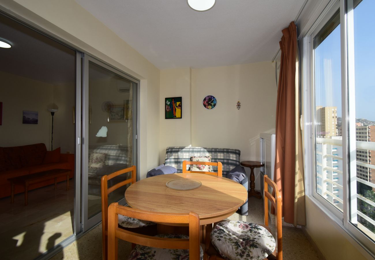 Apartamento en Benidorm - LA PINTA (1 DORMITORIO) BENIDORM