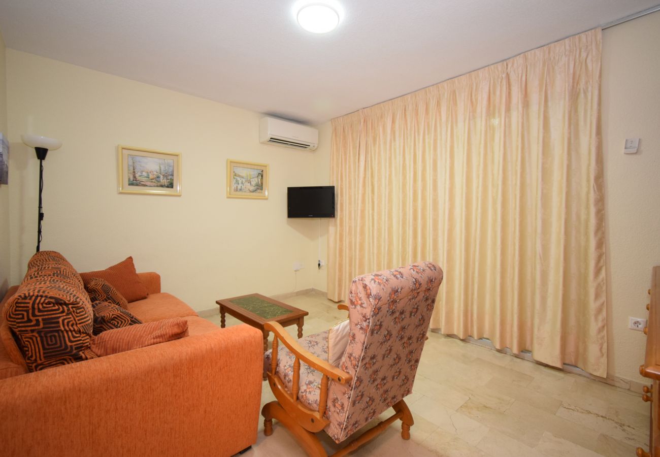 Apartamento en Benidorm - LA PINTA (1 DORMITORIO) BENIDORM