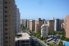 Apartamento en Benidorm - LA PINTA (1 DORMITORIO) BENIDORM