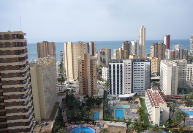 Apartamento en Benidorm - GEMELOS 22 (1 DORMITORIO) Apartamento en Benidorm - GEMELOS 22 (1 DORMITORIO)