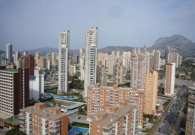 Apartamento en Benidorm - GEMELOS 22 (1 DORMITORIO) Apartamento en Benidorm - GEMELOS 22 (1 DORMITORIO)