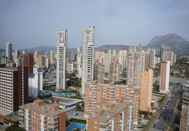 Apartamento en Benidorm - GEMELOS 22 (1 DORMITORIO)