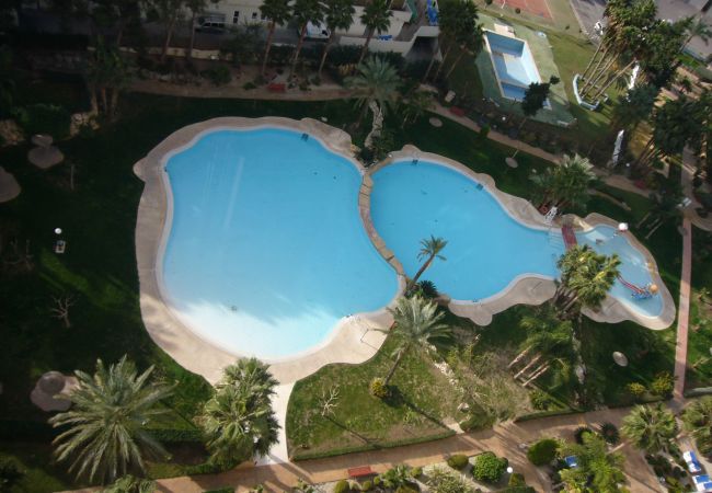 Apartamento en Benidorm - GEMELOS 22 (1 DORMITORIO)