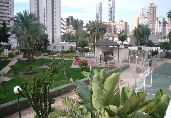 Apartamento en Benidorm - GEMELOS 22 (1 DORMITORIO)